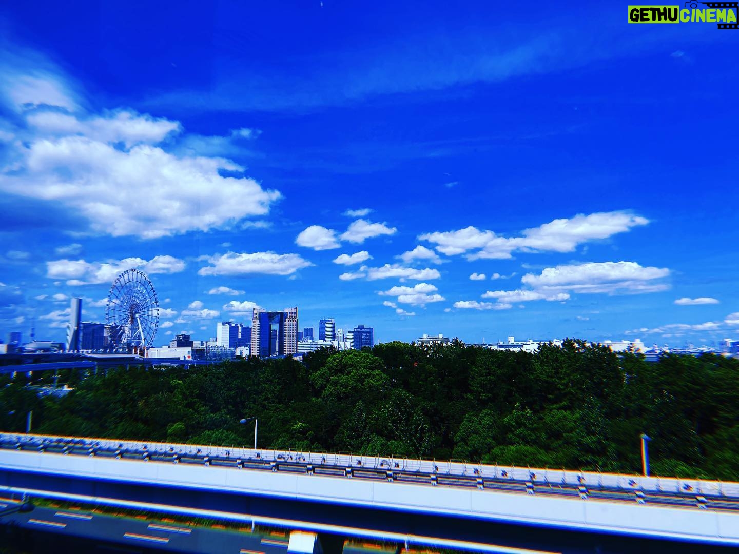 Yuki Sakurai Instagram - おお。。 こんなにたくさんの方々が。 ありがとうございます。とても嬉しいです。 コメントも全て大切に読ませて頂いております。 何を上げようかと模索しつつ、今他の方のインスタをチラ見させて頂き勉強中です。 と言って動物園のアカウントのチンパンジーにすっかり心奪われてしまい。ハマる。 誘惑がいっぱいです。 今日は夏日ですね。 私はセミが登場すると鳴き声含め俄然テンションが上がるのですが、それを言うと大抵理解されません。 セミ、肩身狭い。 桜井 (写真はスタジオの食堂からお届けです)