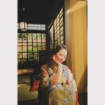 Yuki Sakurai Instagram - 皆様こんばんは。 ほのかに桜が咲き始めましたね 満開になったら一人で夜桜を見に行くのが毎年恒例です 暗闇に公園や桜並木でスマホを構える桜井を見かけましたら怖がらずお声がけください 4月からは、「虎に翼」や「95」が放送になります 楽しみです 最近愛犬に靴下の毛玉が狙われます 電動毛玉取りほしい 　　　　　　　　　　　　　　　　　　　　　　　桜井
