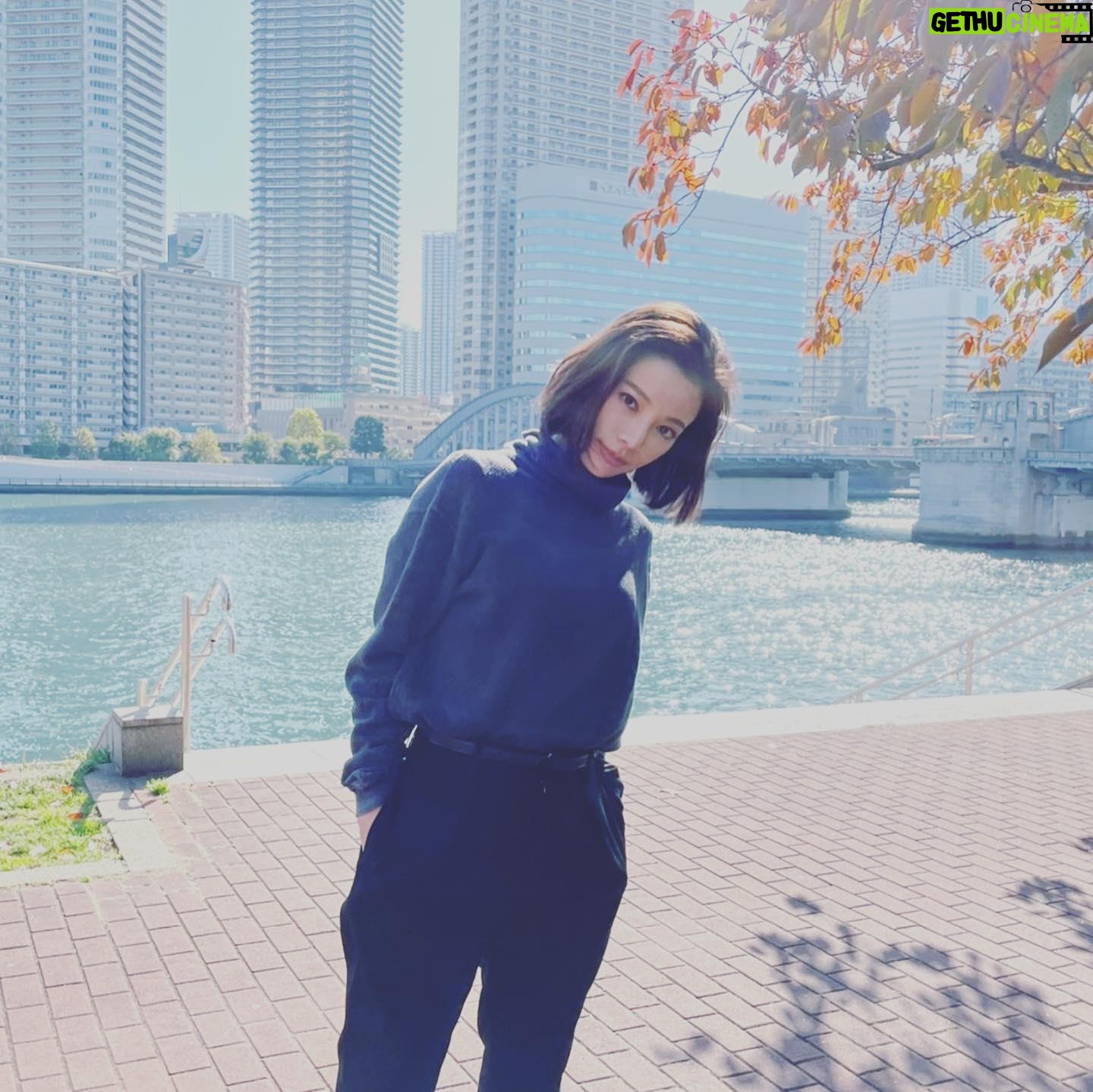 Yuki Sakurai - 15.9K Likes - 今日はずーっと外です。
天気が良かったので気持ち良かったです。
まだまだ撮影続きます。
がしかし、お昼にずっと食べたかったカレー屋さんのカレーを食べれたので。今日の桜井は無敵です。
実は眠いですがきっとバレていないと思います。
皆さん、美味しい晩御飯をもりもり食べて、ぬくぬくしてくださいね。
今日も一日ご苦労様でした。
桜井