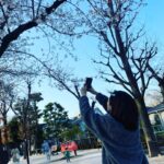 Yuki Sakurai Instagram - 皆様こんにちは。 桜がだいぶ咲いてきてますね。 今日は一日外で撮影しております。 昼間にチャーハンを食べてそのあと全力疾走をしたので、お腹がウップウップなってます。 ウップウップ言いながら後半も頑張ります。 ウップウップ 　　　　　　　　　　 　　　　　　　　　　　　　　　　　　桜井🌸