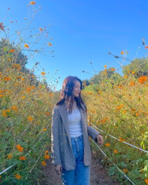 Yukika Teramoto Instagram - 주황색이지만 이름은 노랑 코스모스🌼