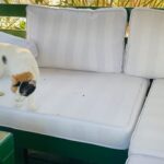 Yuliya Frants Instagram – Мои планы на ближайшие дни