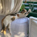 Yuliya Frants Instagram – Мои планы на ближайшие дни
