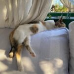 Yuliya Frants Instagram – Мои планы на ближайшие дни