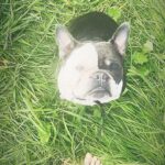 Yuliya Frants Instagram –