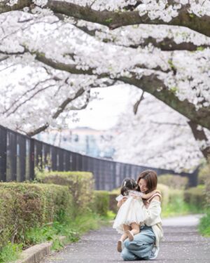 Yūmi Shida Instagram - 娘と見る2回目のさくら🌸

雨続きだったんだけど
ちょうど晴れた日に撮って頂いたの🥹

@ties.photography 🕊️🤍

一歳記念の時ぶりなんだけど、
まぁ〜動く暴れる🤣大きくなったね。

写真って残るし思い出になるから好き☺️

まきさんの世界観大好きでまきさんアルバムがあるくらい😭🩷

早く現像しなきゃ🥺🫶🏻

スタジオでも別パターンで撮ってくれたのでまたアップするね🤫