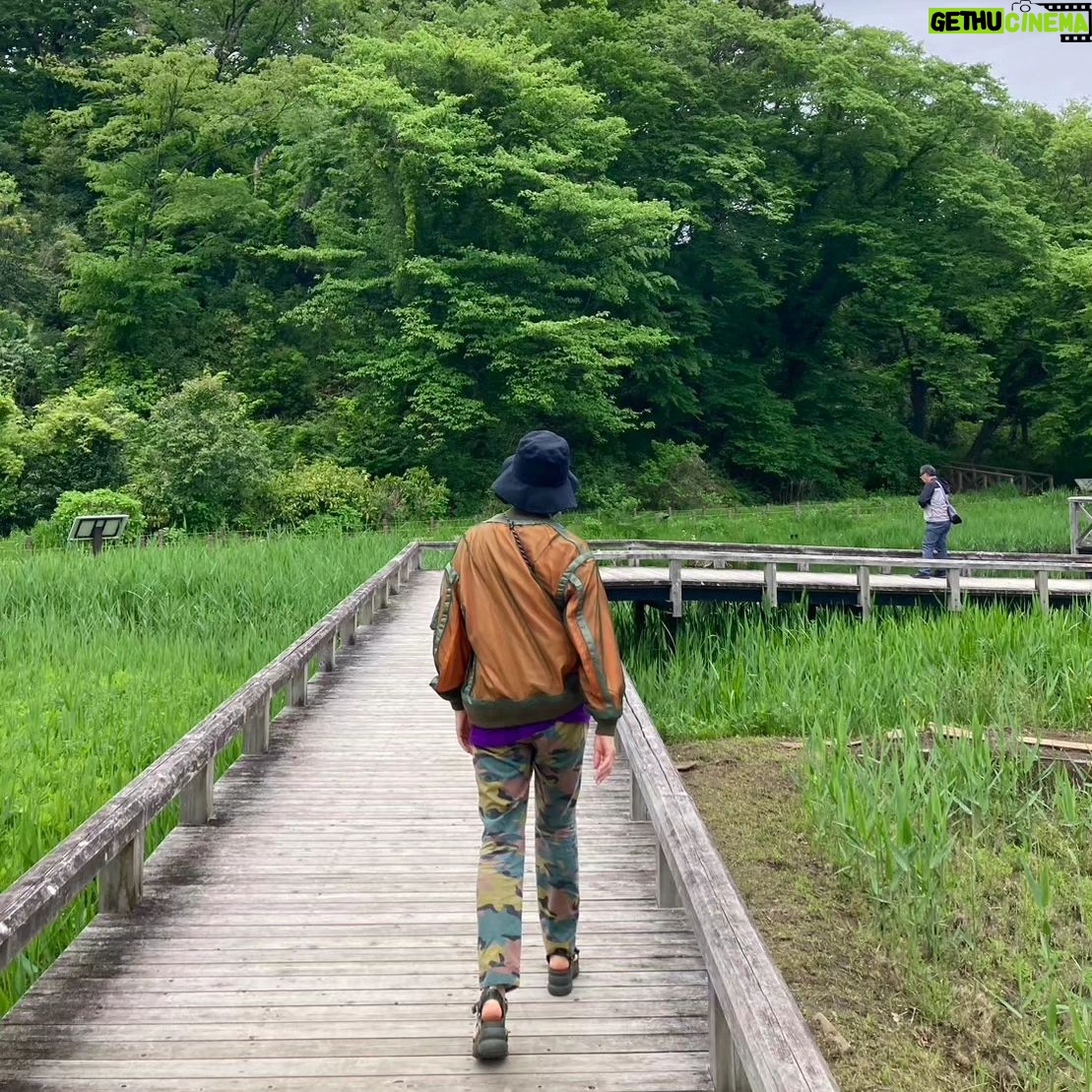 Yumi Matsutoya - 20.7K Likes - 大好きな神代水生植物園。昔写生しにときどき行った。