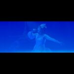 Yumi Matsutoya Instagram - 今夜のまったりSONG 「Delphine」 登場するのはこの一曲だけのイルカ達。出番までひっそりと自分達のおうちで待っています。 とても繊細で、空調や会場の作り、場内の熱気等に動きが左右される子達。 でも、だからこそ自由に動き回っているように見えていた気がします。 まるで私達まで海の中にいるかのような演出。 映像ではどう見えるんでしょう。 おたのしみに。 マネージャーK子
