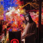 Yumiko Takino