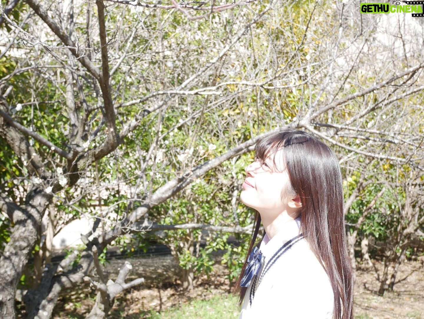 Yuna Hoshino - 3 Likes - #みんなの甲子園 公式スピンオフドラマ
『 #春になれ!』が先日より公開されました!𓂃🌸𓈒𓏸
ショートドラマ配信アプリBUMP にてドラマが観れますので
ぜひ、アプリをDLして観てくださると嬉しいです!!
私は『春になれ』の主人公、綾瀬瑞樹ちゃんを演じさせていただきました!
人間違いから始まる勘違いラブストーリー!
青春がギュッと詰まっていて、とても可愛く、心が温まる、
そして背中が押される、そんな素敵なドラマになっています!
ショートドラマなので何かの時間の合間にも観れると思いますので、お時間がある方はぜひご覧ください👀🤍