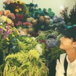 Yuna Taira Instagram - 💐🫧🌿 お花探しの旅に出て 自分で選んだお花たち。 素敵なお花屋さん @naoten10 #平祐奈カレンダー2024 #お花とわたし