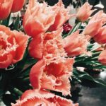 Yuna Taira Instagram - 🌷🩷💚 初写経。