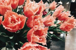 Yuna Taira Instagram - 🌷🩷💚

初写経。