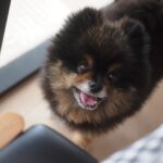 Yuri Nakamura Instagram - 俺の推しの母さんのお友達が毛が伸びた俺を、ポケモンのボールに似てると言い出した。 推し変しようかと思っている。🐻