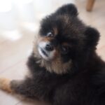 Yuri Nakamura Instagram - 振り向き王子🐻♥️
