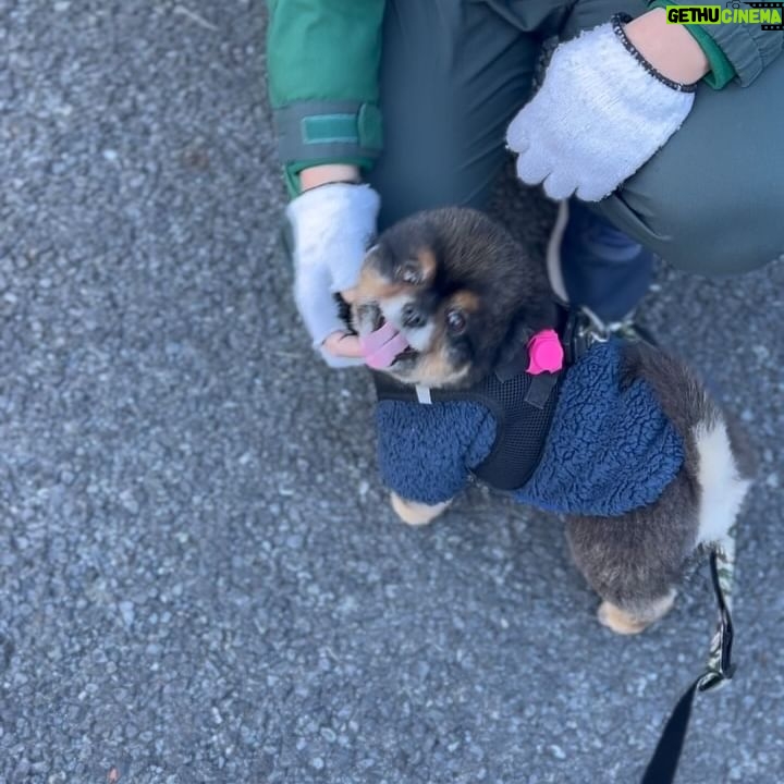 Yuri Nakamura Instagram - 長年ヤマトのお兄さんを贔屓にさせてもろて🧸♡