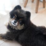 Yuri Nakamura Instagram - 振り向き王子🐻♥️