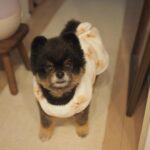 Yuri Nakamura Instagram - 昨夜母さんが、今夜は寒いから…と俺にパジャマを着せた。 母さんは俺をわかっていない。 俺は、学年に数人いた、真冬でも短パン半袖男児だ。🧸 雪道、皆様お気を付けください。