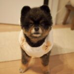 Yuri Nakamura Instagram - 昨夜母さんが、今夜は寒いから…と俺にパジャマを着せた。 母さんは俺をわかっていない。 俺は、学年に数人いた、真冬でも短パン半袖男児だ。🧸 雪道、皆様お気を付けください。