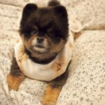 Yuri Nakamura Instagram - 昨夜母さんが、今夜は寒いから…と俺にパジャマを着せた。 母さんは俺をわかっていない。 俺は、学年に数人いた、真冬でも短パン半袖男児だ。🧸 雪道、皆様お気を付けください。