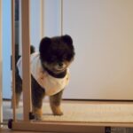 Yuri Nakamura Instagram - 昨夜母さんが、今夜は寒いから…と俺にパジャマを着せた。 母さんは俺をわかっていない。 俺は、学年に数人いた、真冬でも短パン半袖男児だ。🧸 雪道、皆様お気を付けください。
