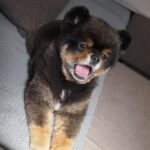 Yuri Nakamura Instagram - 俺のまったり時間🧸 （眩しくてなんか目が。笑）