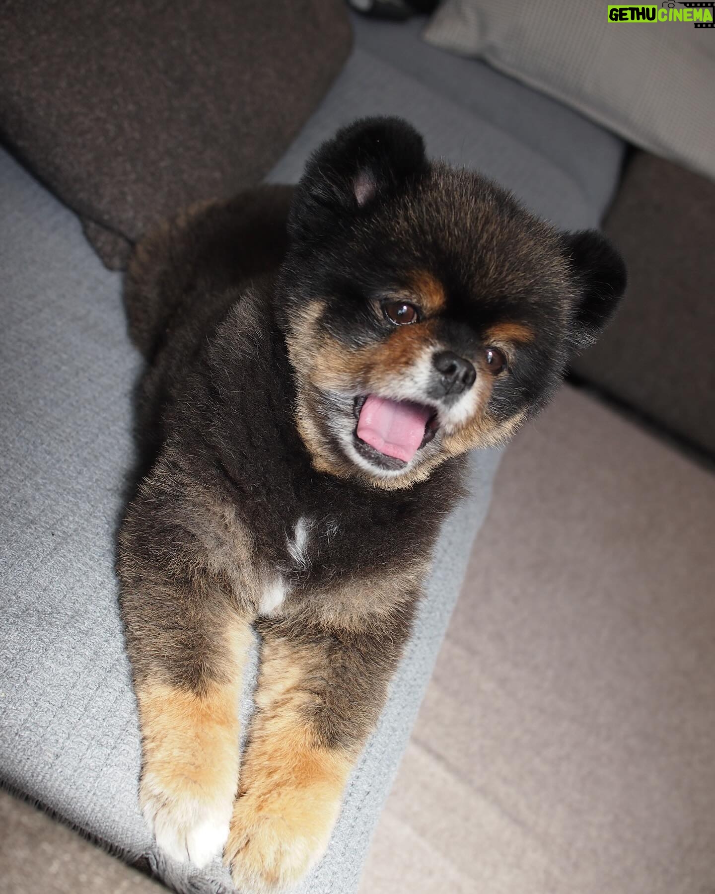 Yuri Nakamura Instagram - 俺のまったり時間🧸 (眩しくてなんか目が。笑)