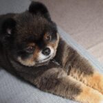 Yuri Nakamura Instagram - 俺のまったり時間🧸 （眩しくてなんか目が。笑）