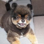Yuri Nakamura Instagram - 俺のまったり時間🧸 （眩しくてなんか目が。笑）