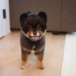 Yuri Nakamura Instagram - もっちり村の、角・刈り蔵です。🧸