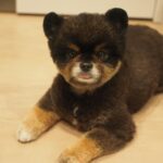 Yuri Nakamura Instagram - こんにちは。 今日も安定のスティックパンのお手手と、チロっと出た舌がポイントの、ぺろりんちょころりんちょ王子です。🧸