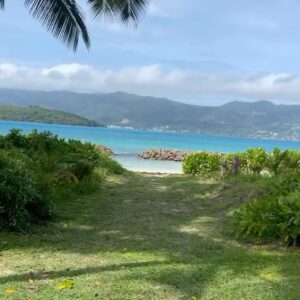 Yuval Scharf Instagram - ‏We took some time Off to get some rest and fresh air for our hearts and bones 🤍🦴🌴🇸🇨 @clubmedseychelles @clubmed