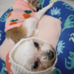 Yvonne Liang Instagram - 在平行宇宙裡， 每個版本的人生都是存在的， 只是現在的意識，選擇了其中一個版本而已。 那麼，我們就可以安心的過好此刻的版本了， 因為其他的遺憾，在別的平行時空都會補足的。 #好 🍃