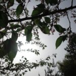 Yvonne Liang Instagram - 京都漫步🍂🍵🍁 被飛行、旅遊、拍攝工作塞滿的四月， 都是我想去的地方、想接的工作， 也算心想事成的一個月吧。 長大後的我們一起出國旅行， 彼此照顧、互相包容， 嘮叨著東西帶齊了沒？ 起床了沒？一起叫醒還在賴床的我哥， 討論著今天要去哪裡玩？ 那樣的感覺，像小時候， 其實挺好的，是幸福的。 電力已耗盡，可以立刻躺平睡著， 晚安，還是那麼清幽舒適的京都🤎 #familytrip #Osaka #kyoto