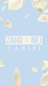 Zaho Instagram - 🎶 Fini Yabibi, Yabibi y a plus de toi... 🎶  “YABIBI” le nouveau single avec @nejofficial dispo vendredi sur la réédition de Résilience #NewMusic #Yabibi #Nej #Zaho
