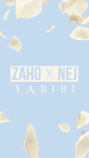 Zaho Instagram - 🎶 Fini Yabibi, Yabibi y a plus de toi... 🎶 
“YABIBI” le nouveau single avec @nejofficial dispo vendredi sur la réédition de Résilience 
#NewMusic #Yabibi #Nej #Zaho