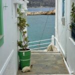 Zeta Douka Instagram - 24 ώρες στην Κάρπαθο! Ένα ταξίδι- αστραπή για καλό σκοπό, αφού έγινε κατόπιν πρωτοβουλίας και πρόσκλησης του συλλόγου γονέων του Γυμνασίου Πηγαδίων Καρπάθου στην @anasa.com.gr , προκειμένου να πραγματοποιηθεί εκδήλωση πρόληψης και ενημέρωσης στους μαθητές/ εκπαιδευτικούς/γονείς για τις Διαταραχές Πρόσληψης Τροφής. Ταξιδέψαμε λοιπόν , παρέα με δυο μέλη της κλινικής ομάδας του Κέντρου Ημερας Ανασα , την ψυχολόγο Χρύσα Δασκαλάκη και την διατροφολόγο Ραφαέλα Μακρή για να συναντήσουμε τα απίθανα παιδιά του Γυμνασίου και του Δημοτικού Σχολείου και τους καταπληκτικούς γονείς και δασκάλους τους και να γίνουμε εν τελει όλοι μια μεγάλη, ζωηρή και γεμάτη όρεξη για επικοινωνία παρέα. Δεν θα σας πω πόσο εντυπωσιάστηκα από το νησί, γιατί δεν πρόλαβα να το δω ( σχεδιάζω να το κάνω μέσα στον Ιούλιο και να διαμείνω και πάλι στο καταπληκτικό @arcusluxurysuiteskarpathos του Γιάννη Παπαγιάννη). Εντυπωσιάστηκα όμως από την ευγένεια , τη γενναιοδωρία και το νοιάξιμο για προσφορά των ανθρώπων στον τόπο τους. Ιδιαιτέρως των δραστήριων και αεικίνητων γυναικών (γονέων, εκπαιδευτικών , της Παιδιάτρου του νησιού) που ενδιαφέρονται επί της ουσίας για τα παιδιά και διαρκώς γυρεύουν να τους προσφέρουν περισσότερη γνώση και ερεθίσματα. Συγκινήθηκα και δε σταμάτησα να τις συγχαίρω! Εις το επανιδείν λοιπόν. Έχουμε να κάνουμε πολλά μαζί στο μέλλον 😜 #anasa #ngo #eatingdisorders #awareness #karpathos