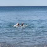 Zeta Douka Instagram - Χρόνια πολλά σε όλους! Ανάσταση στην καρδιά και τα μυαλά μας 🙏🏻🦋 #easter #astypalaia #family #friends