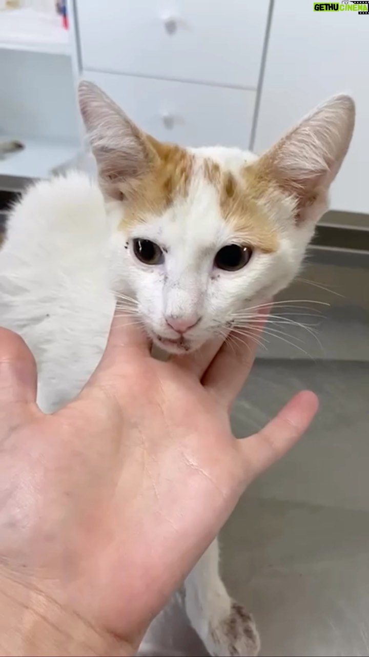 Zeynep Gülmez - 1.7K Likes - Sevgi 🥰