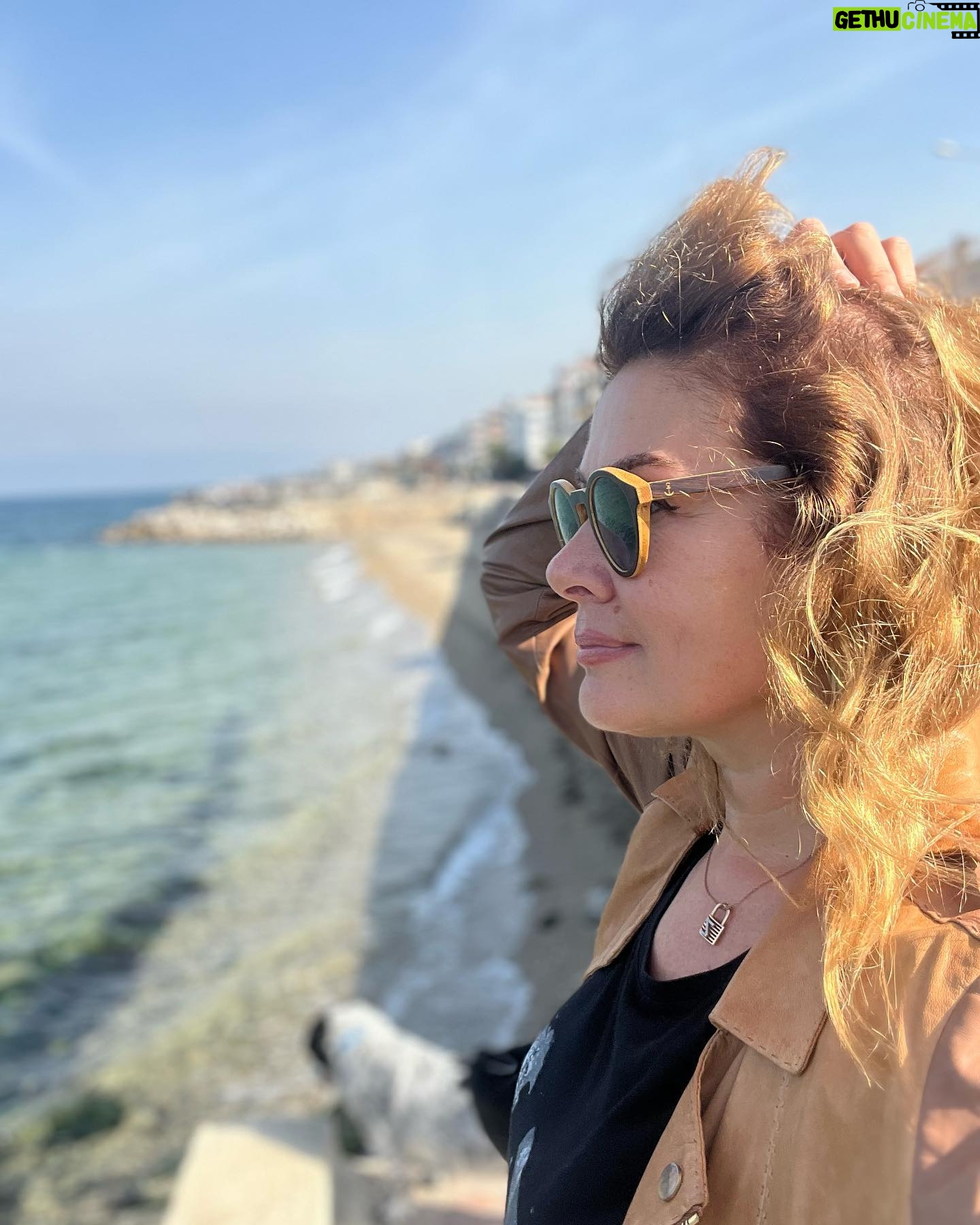 Zeynep Gülmez - 3 Likes - moment🎈
