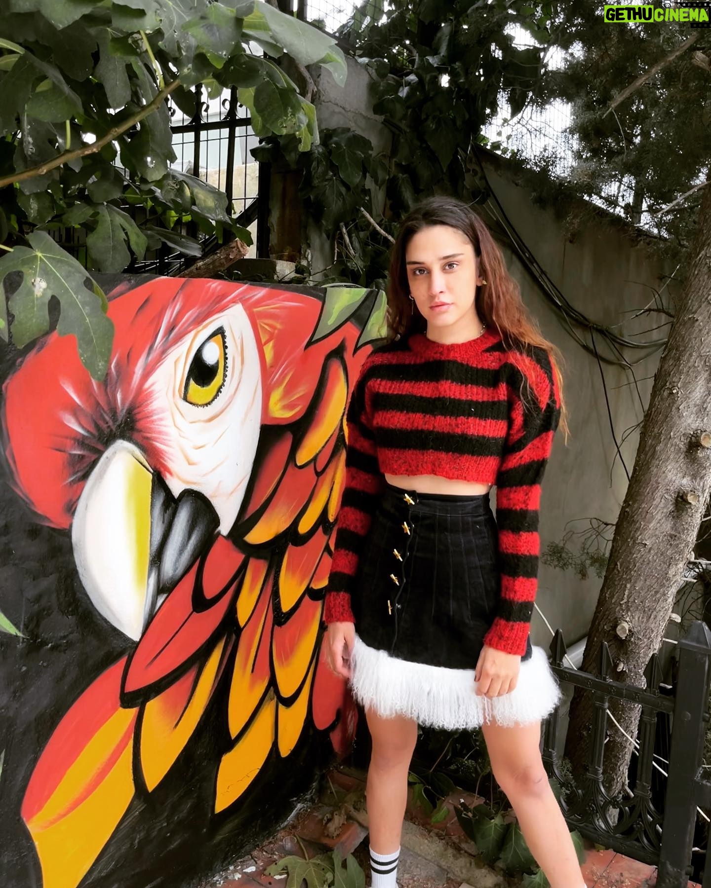 Zeynep Koçak - 1.7K Likes - e retro bitti dediniz her sey aynı devam ?