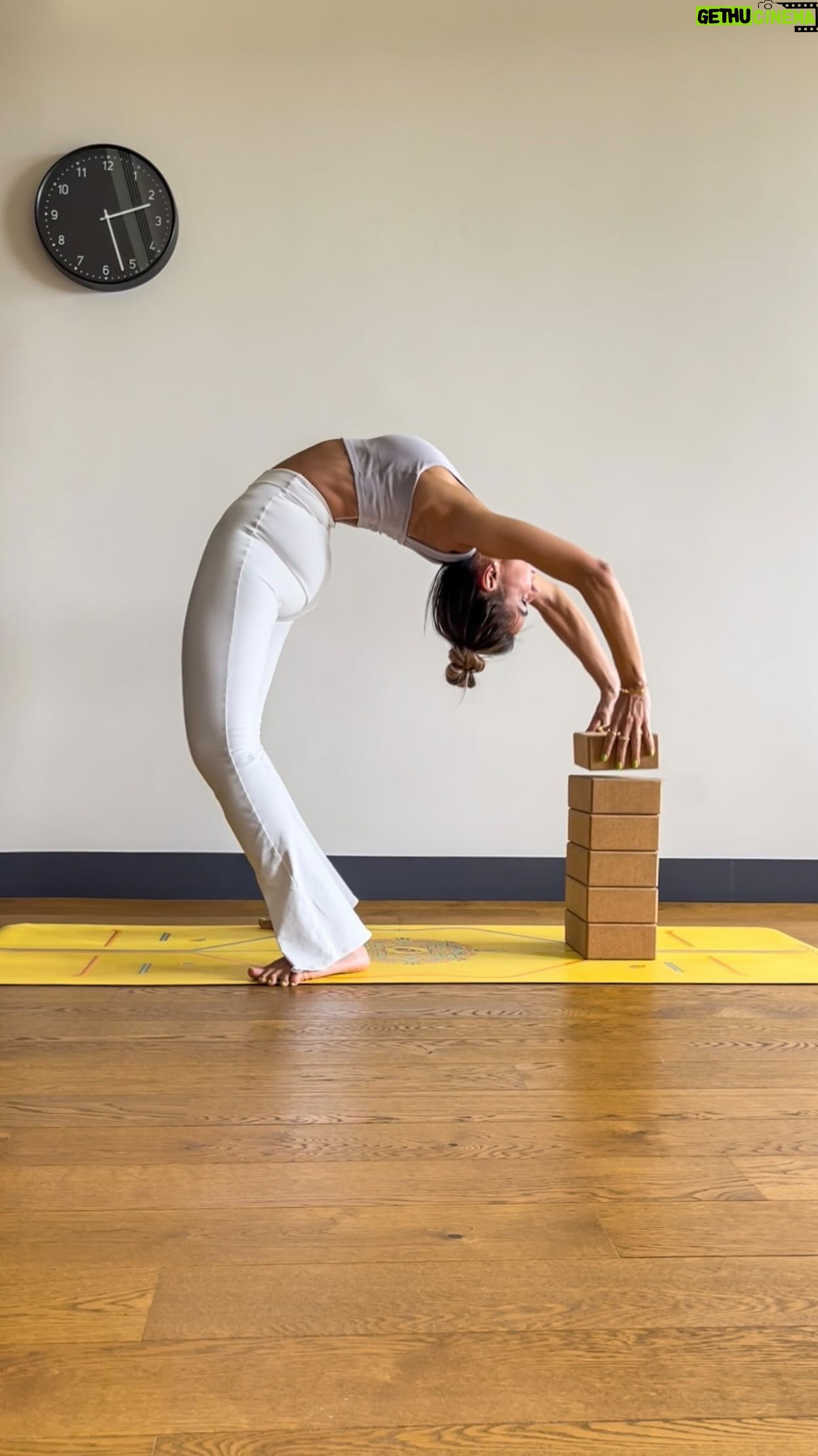 Zeynep Tokuş - 4.6K Likes - Hadi gelsin bol bükülmelisinden
bir hafta sonu fıkırtısı;))🥁♥️☺️
Deneyen etiketlesin 👊🏽
#yogachallenge
#backbendchallenge
#backbendpractice