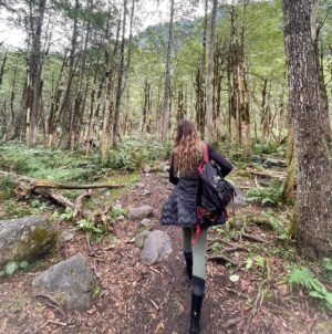Zeynep Tokuş Instagram - Büyülü,sihirli #şimşirormanı 🌿
Bu sene yine gelmek nasip oldu çok şükür.En son resim 2019 daki ziyaretimizden.Sevgili ağaçla yine kavuştuk.💚

#cennetvatanım 
#karadeniz #rize