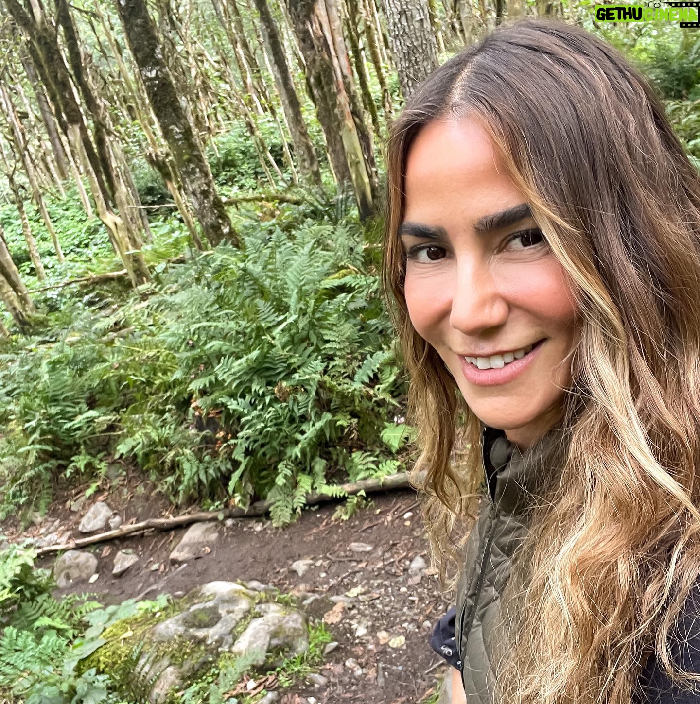 Zeynep Tokuş - 4.4K Likes - Büyülü,sihirli #şimşirormanı 🌿
Bu sene yine gelmek nasip oldu çok şükür.En son resim 2019 daki ziyaretimizden.Sevgili ağaçla yine kavuştuk.💚
#cennetvatanım
#karadeniz #rize