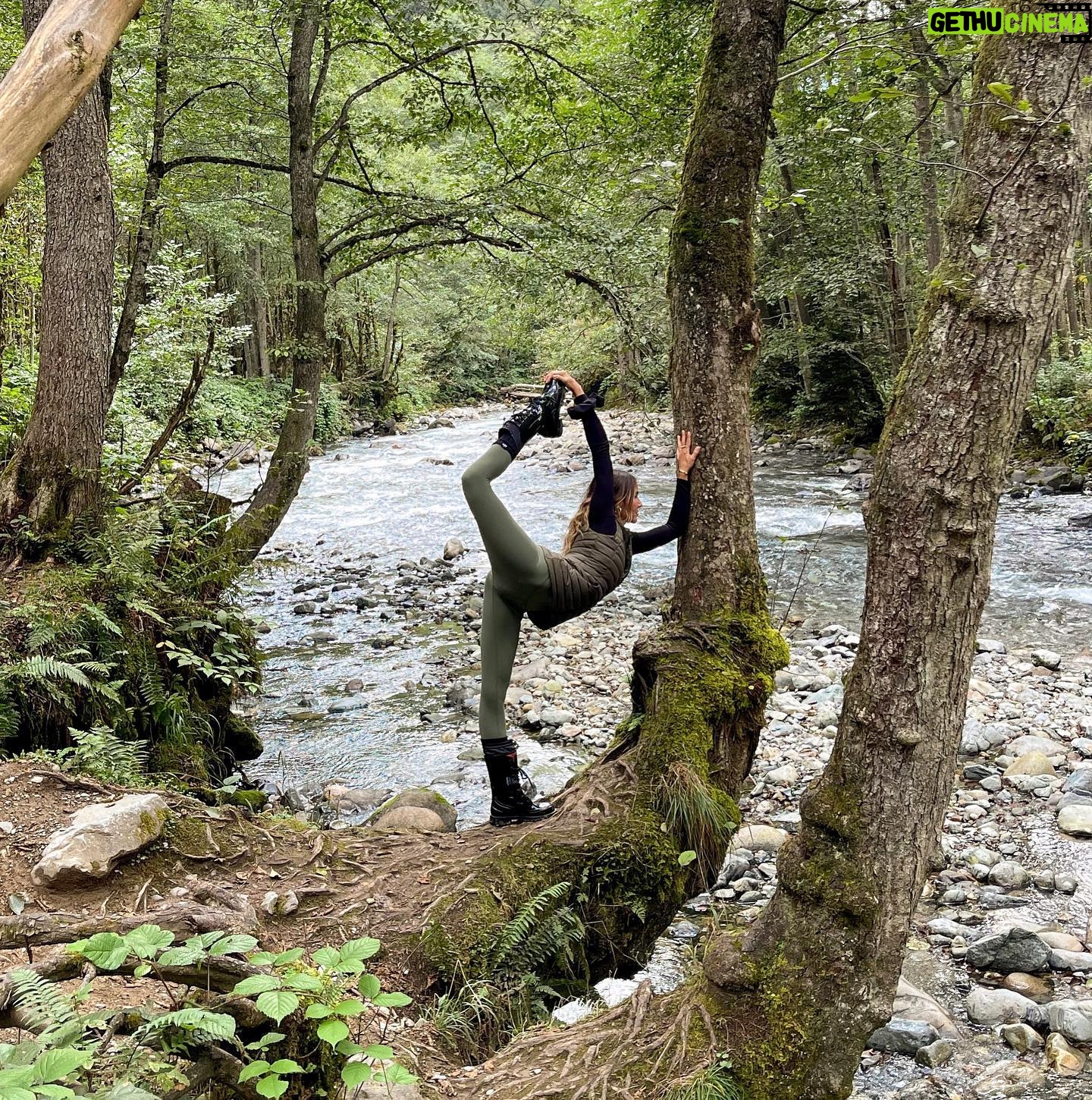 Zeynep Tokuş - 4.4K Likes - Büyülü,sihirli #şimşirormanı 🌿
Bu sene yine gelmek nasip oldu çok şükür.En son resim 2019 daki ziyaretimizden.Sevgili ağaçla yine kavuştuk.💚
#cennetvatanım
#karadeniz #rize