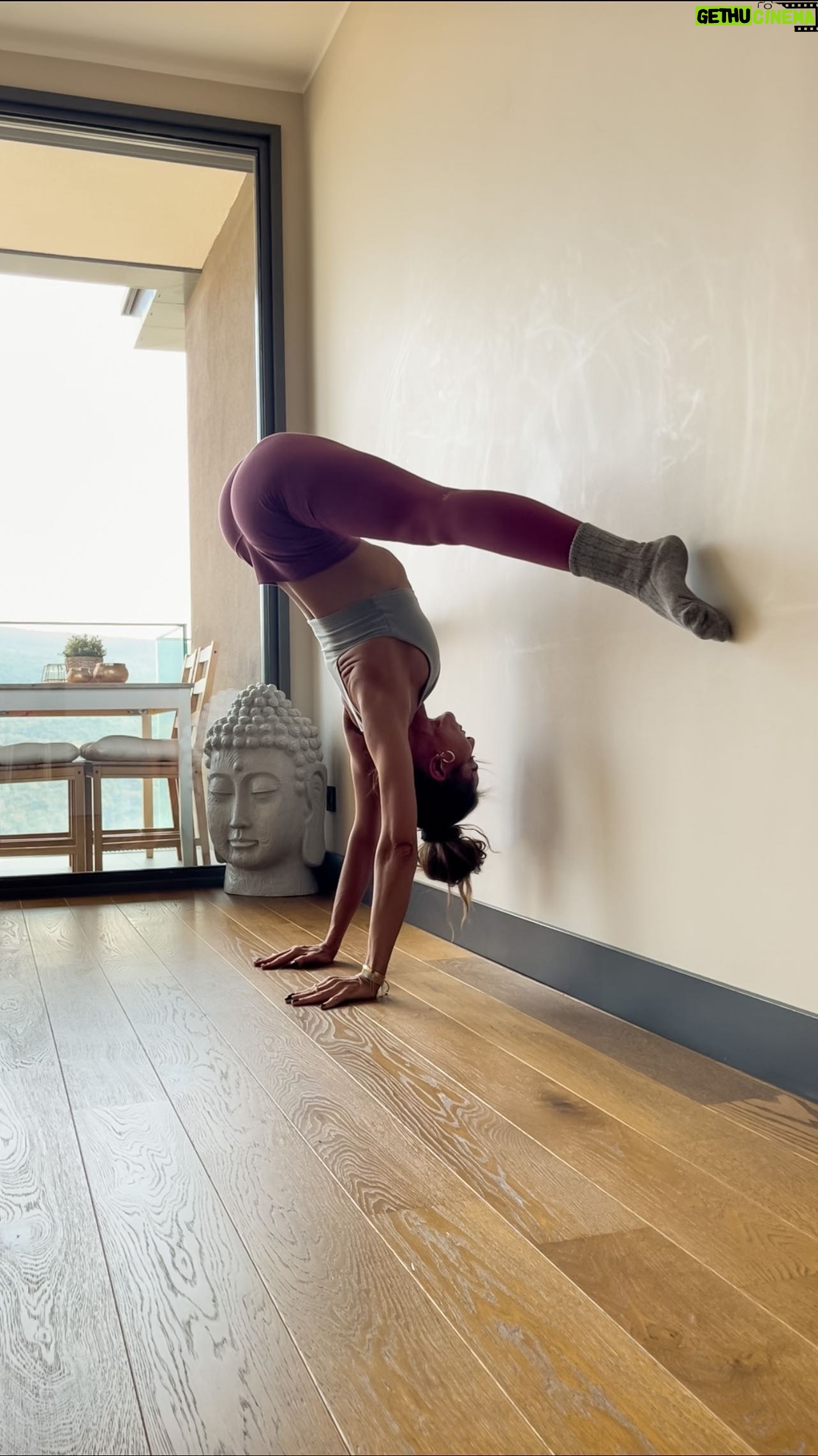 Zeynep Tokuş - 4.8K Likes - Duvar oyunları;)) Keyifli Pazarlaaarrrrr 😉🧡
#yoga #evdeyoga #wallyoga #duvardayoga #walldrills #handstand #wallhandstand #yogainspiration