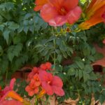 Zeynep Atılgan Instagram -