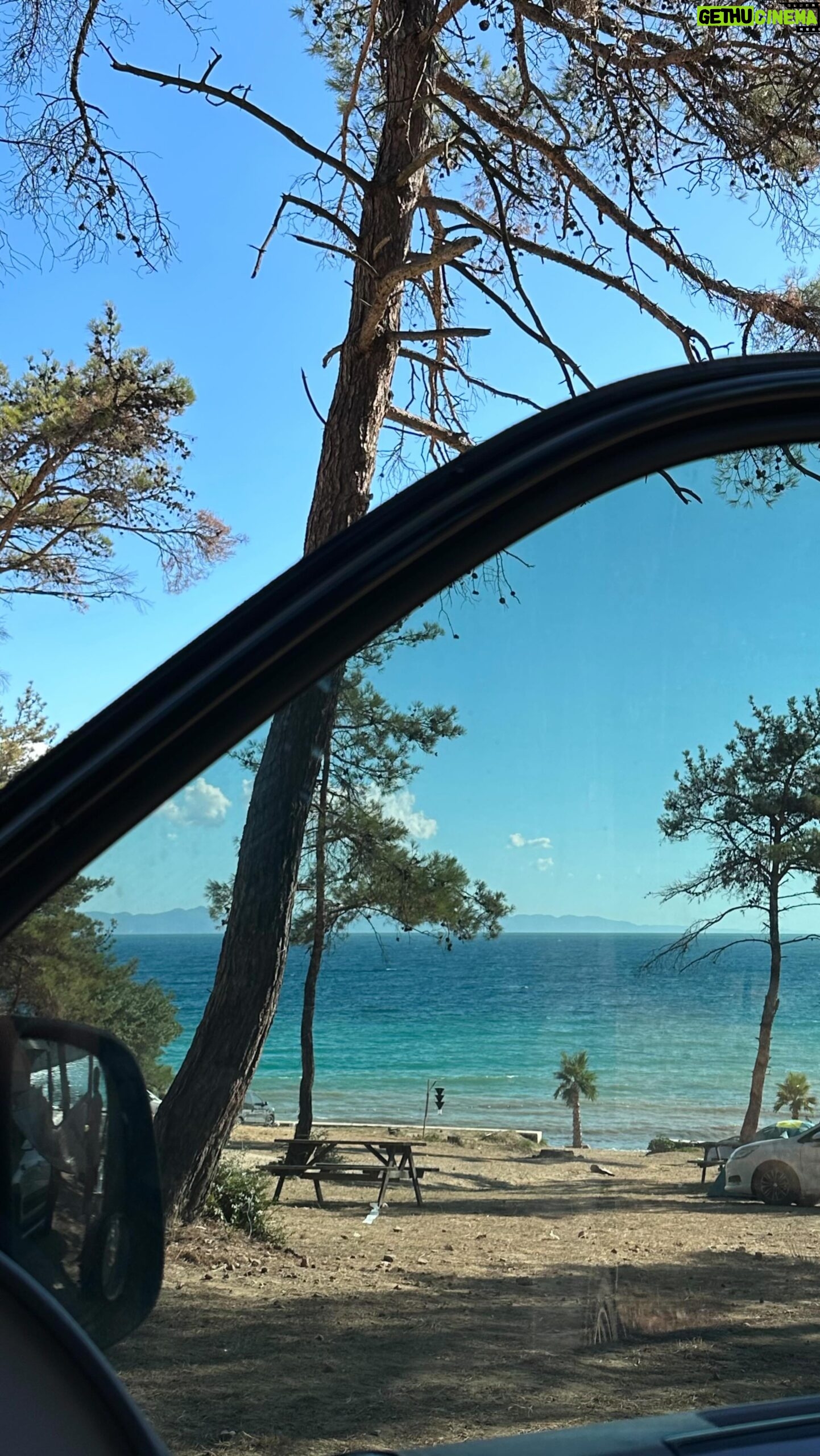 Most liked Instagram photo of Zeynep Atılgan