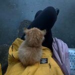 Zeynep Atılgan Instagram - ortaya karışık dumpy