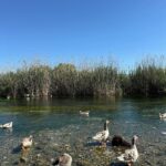 Zeynep Özkaya Instagram - Akyaka dump geldi🩵 Cennetten bir köşe değil de ne🥹🫶🏻🦆🌿